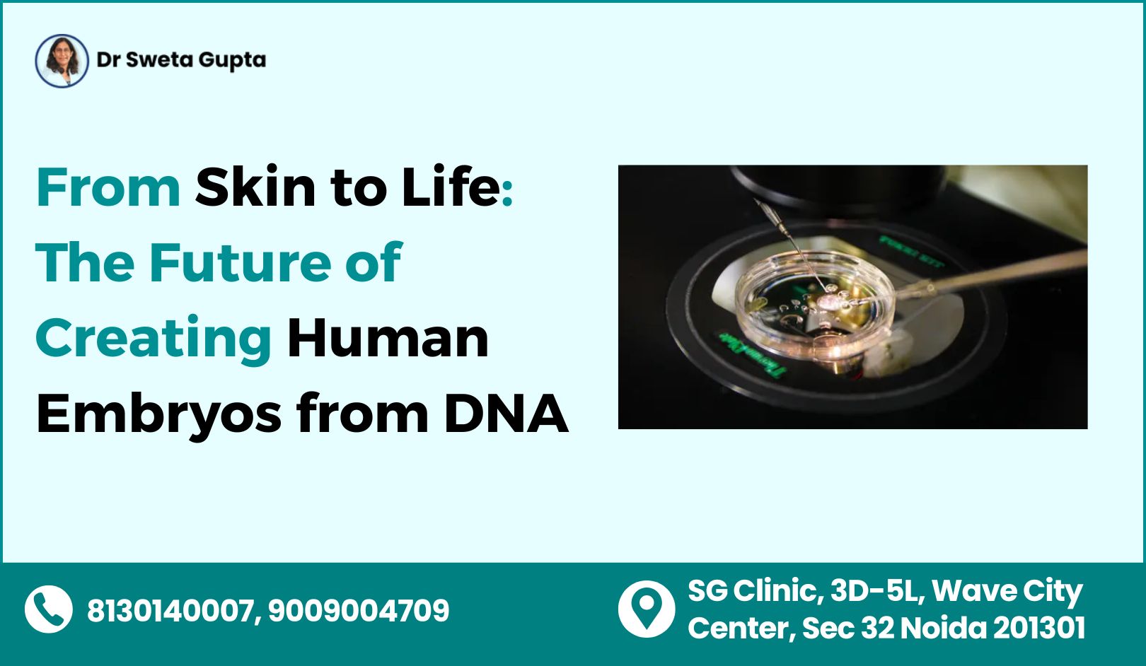 skin to life