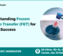 Understanding Frozen Embryo Transfer FET for Higher Success 90x80