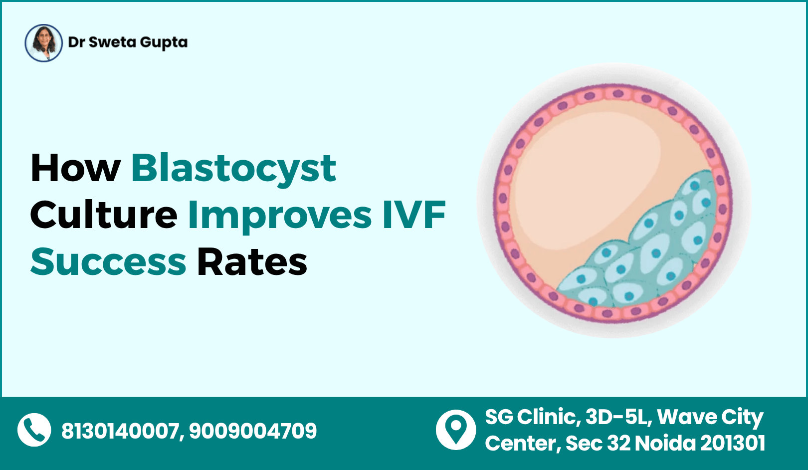 How Blastocyst Culture Improves IVF Success Rates