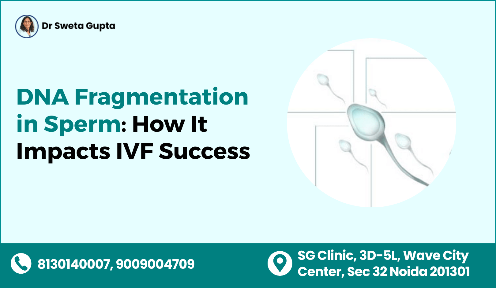 DNA Fragmentation in Sperm