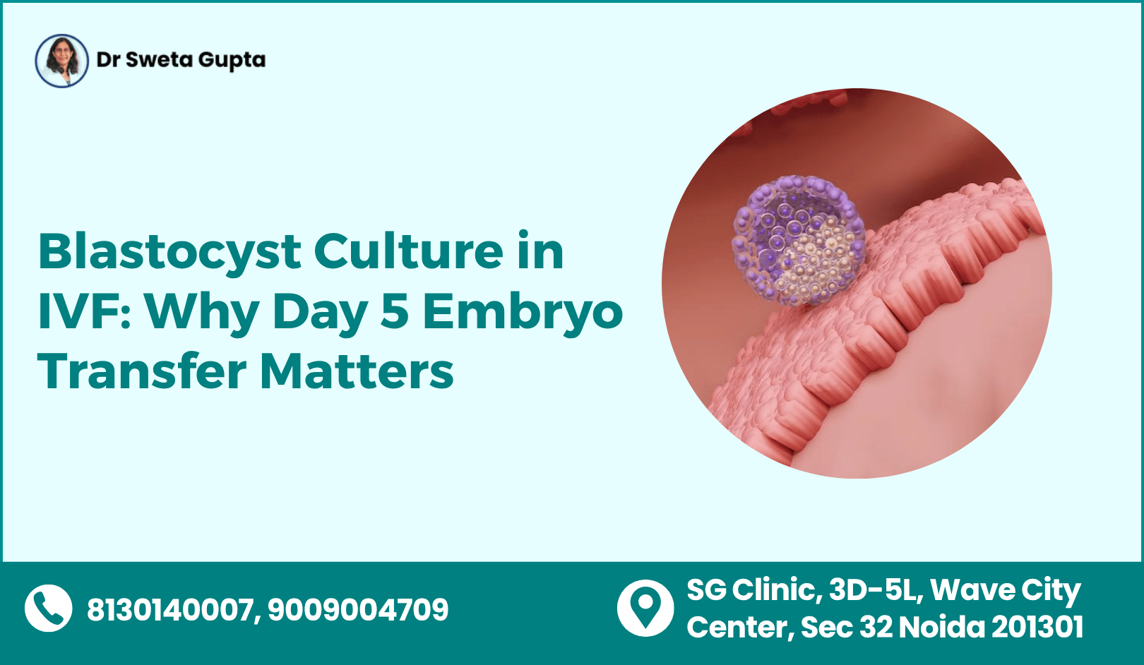 Blastocyst Culture in IVF: Why Day 5 Embryo Transfer Matters | Dr. Sweta Gupta