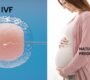 ivf vs natural pregnancy 90x80