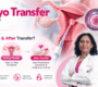 embryo transfer in ivf dr sweta gupta noida 90x80